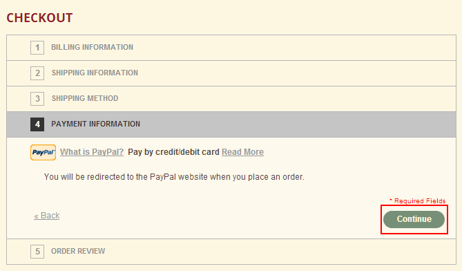 the payment infomation on the checkout page